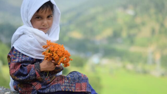 12th Class Summer Zone Results Declared, 89.79% Students Declared Qualified