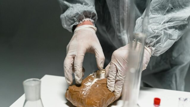 2 C.I.A. Officers Killed in Mexico Crash Lacked Proper Authorization