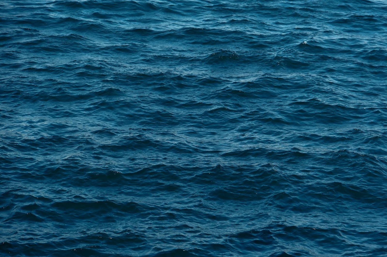 A New Idea to Save the AMOC? Dam the Bering Strait.