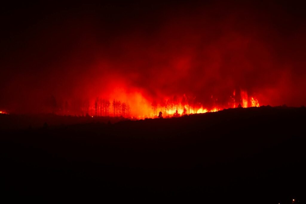 Almost All of Europe was Abnormally Hot in 2025, Report Finds