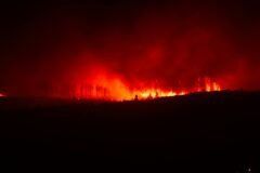 Almost All of Europe was Abnormally Hot in 2025, Report Finds