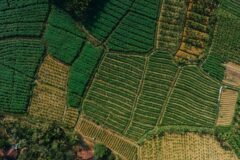 Australian High Commissioner calls on CM, discusses cooperation in agri, allied sectors