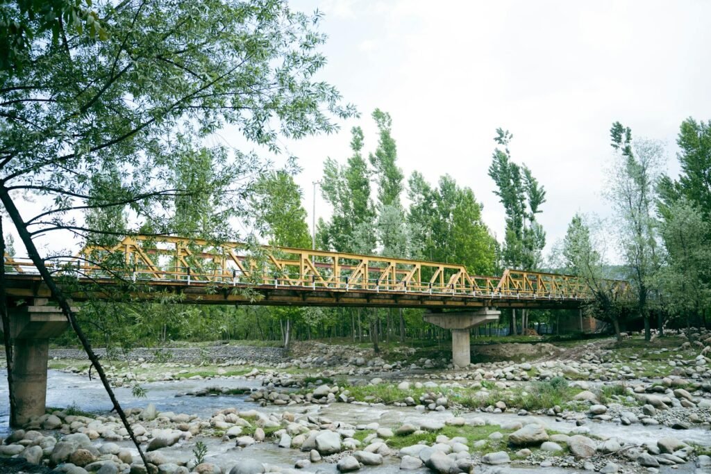 Case Filed After Viral Video Shows Pro-Pakistan Posters In J&K’s Doda