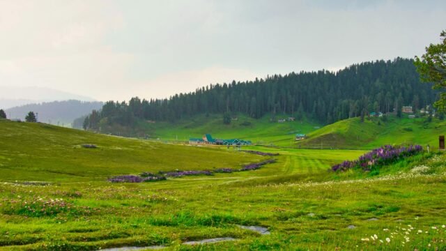 Doda SSP prioritises peace, tourist safety in Bhaderwah valley