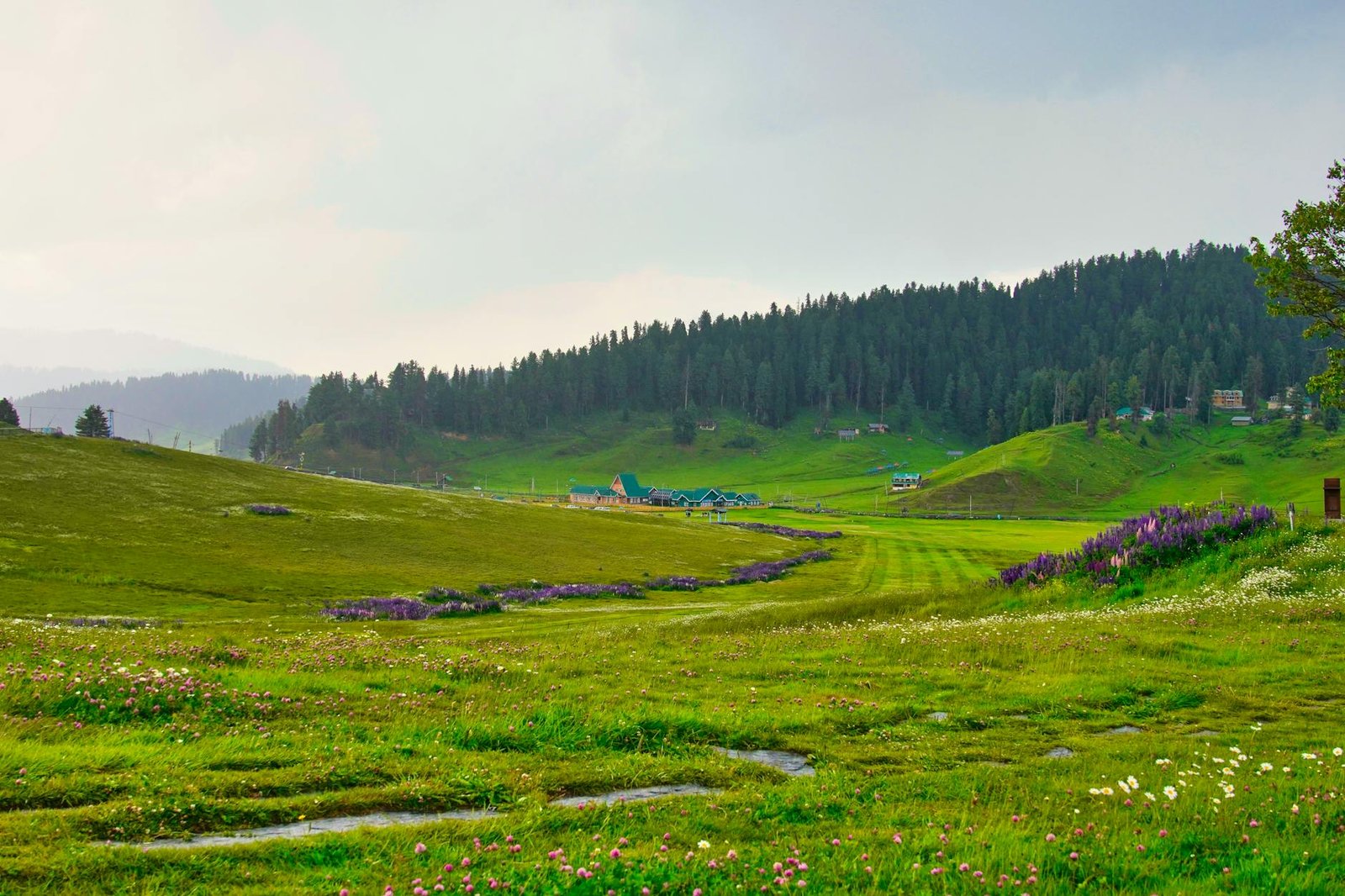 Doda SSP prioritises peace, tourist safety in Bhaderwah valley