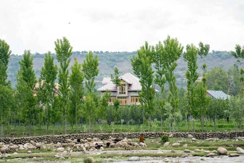 Five Lakh Families In J&K To Be Provided ‘Pucca’ Houses After Physical Verification: Chouhan