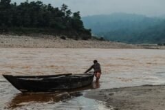 Himalayan fish struggling to survive