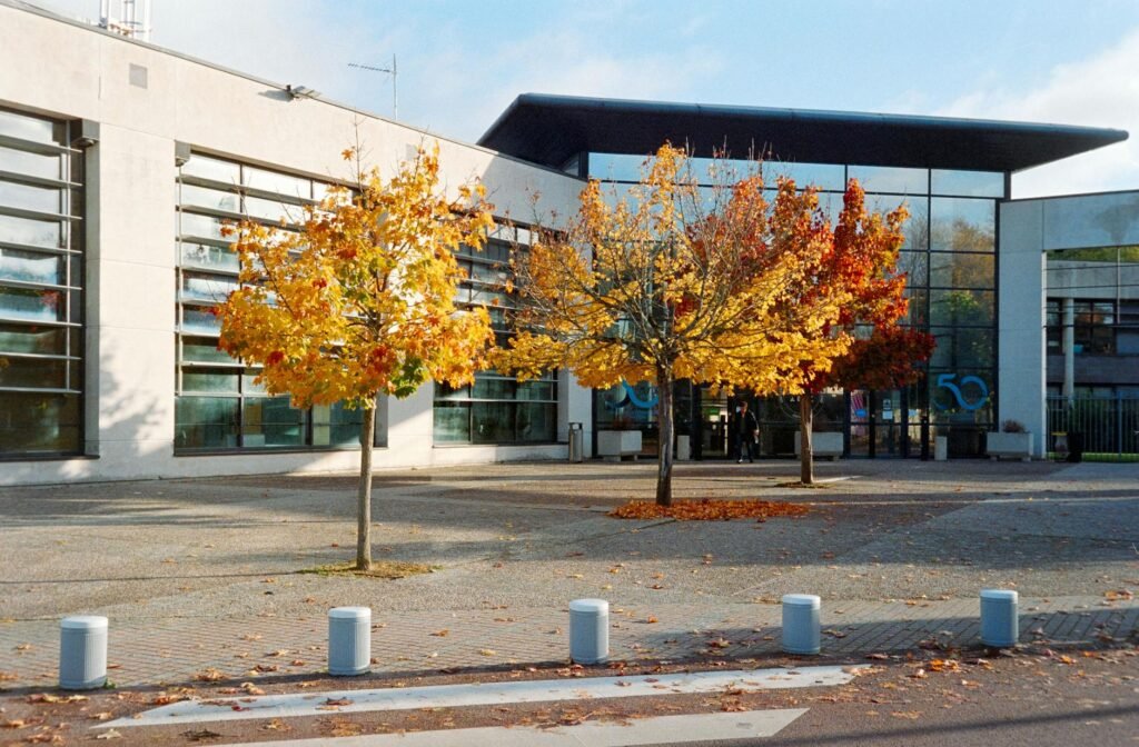 In France, American Universities Lose Their Allure in the Trump Era