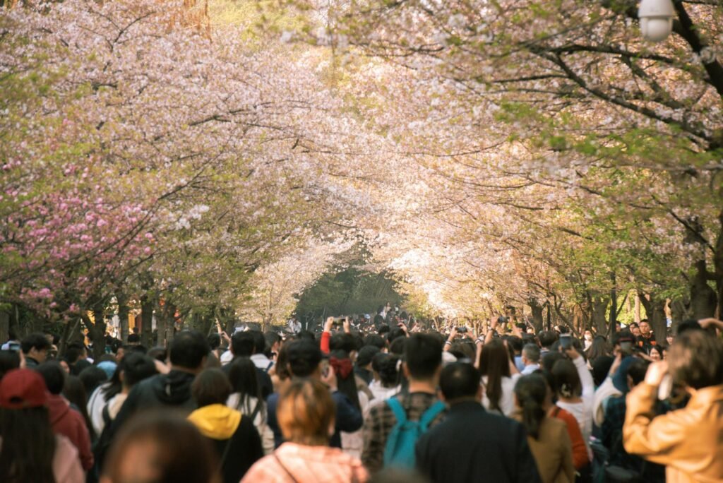 In Japan, the Fight Is on Against Unruly Tourists