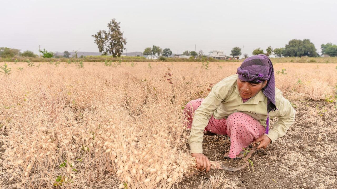 Interests Of Farmers, Country Paramount In Free Trade Agreements: Minister Chouhan