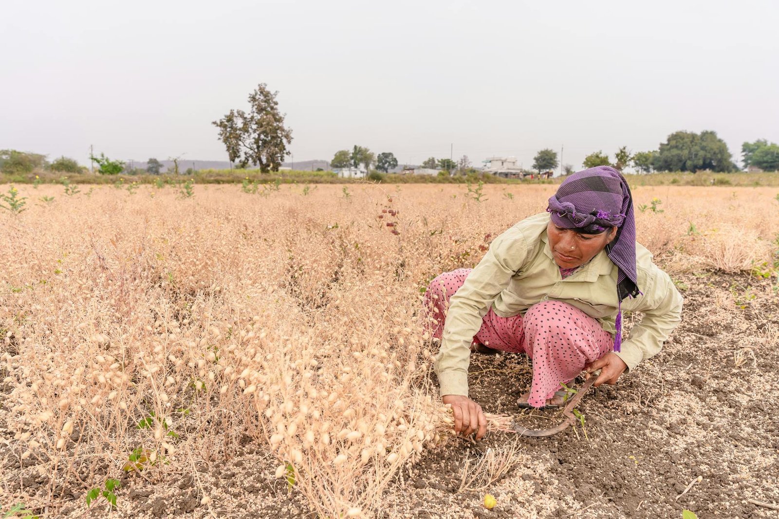 Interests Of Farmers, Country Paramount In Free Trade Agreements: Minister Chouhan Interests Of Farmers, Country Paramount In Free Trade Agreements: Minister Chouhan