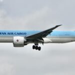 Korean Air Bans Roosters on U.S. Flights to the Philippines
