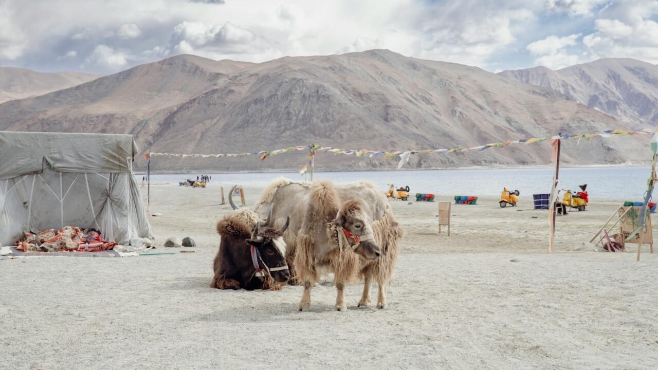 LG Saxena Hands Over 313 Job Letters To District-Cadre Employees At Leh Rozgar Mela