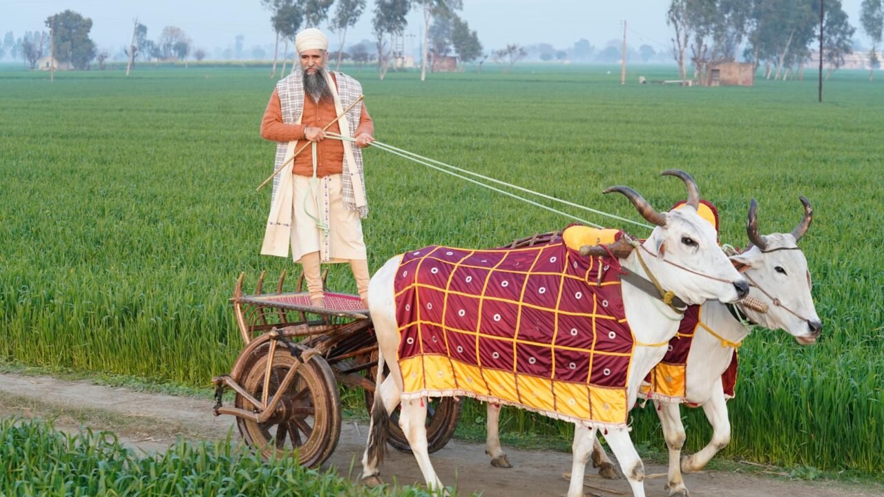 Mann slams defected AAP leaders in cryptic analogy, says individually they matter little