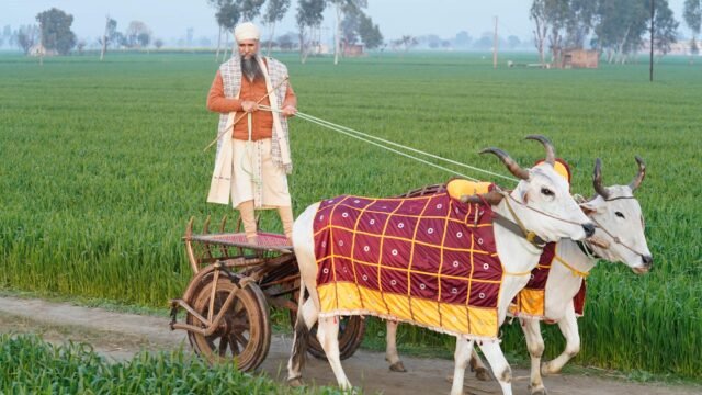 Mann slams defected AAP leaders in cryptic analogy, says individually they matter little