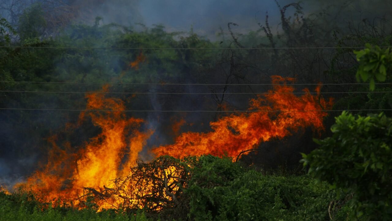 India Braces for Heatwave: IMD Forecasts Scorching Conditions Across Multiple Regions