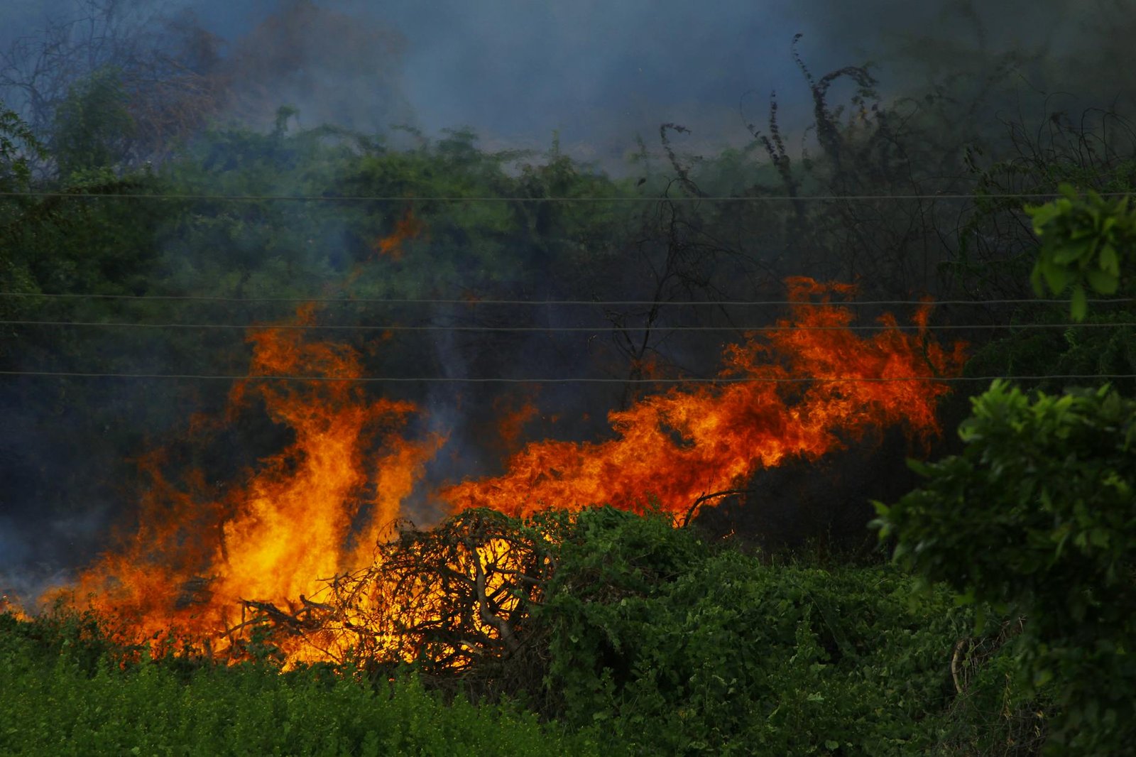 Northwest, Central, Adjoining East India To Witness Heatwave Conditions For Next 4-5 Days: IMD Northwest, Central, Adjoining East India To Witness Heatwave Conditions For Next 4-5 Days: IMD