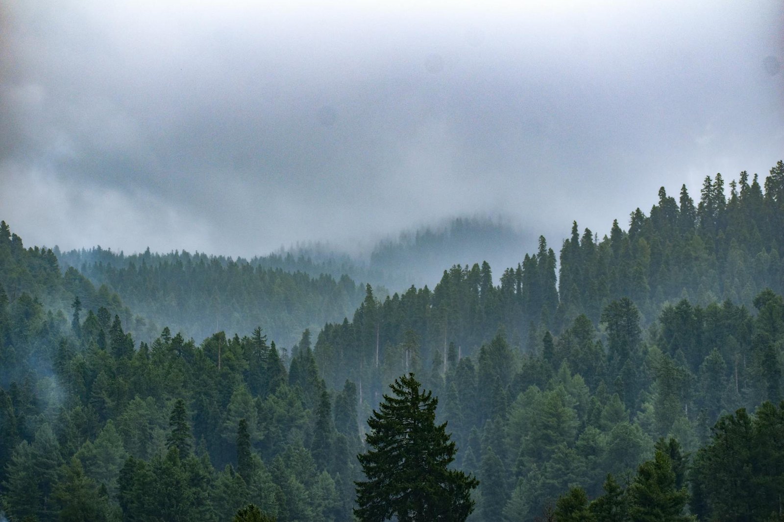 Op Mahadev: How technology gave Pahalgam perpetrators away and led to their killing Op Mahadev: How technology gave Pahalgam perpetrators away and led to their killing