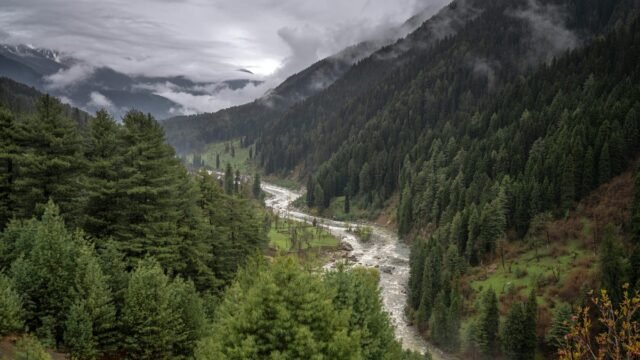 Pahalgam Attack Traced: Security Forces Neutralize Pakistani Terrorists in Dachigam