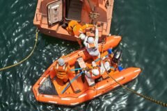 Rescuers Try to Save Timmy, a Whale Stranded Off Germany