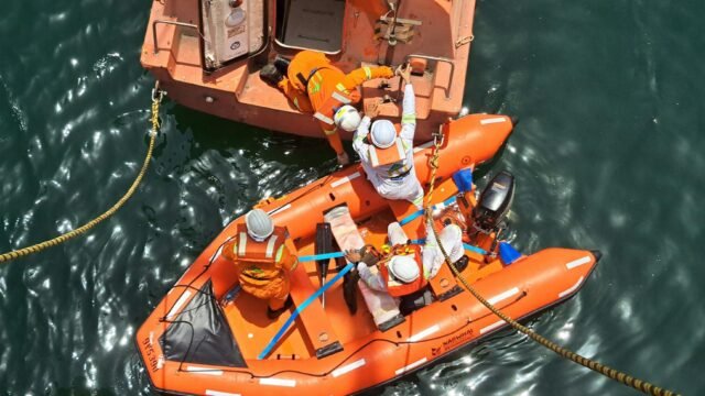 Rescuers Try to Save Timmy, a Whale Stranded Off Germany