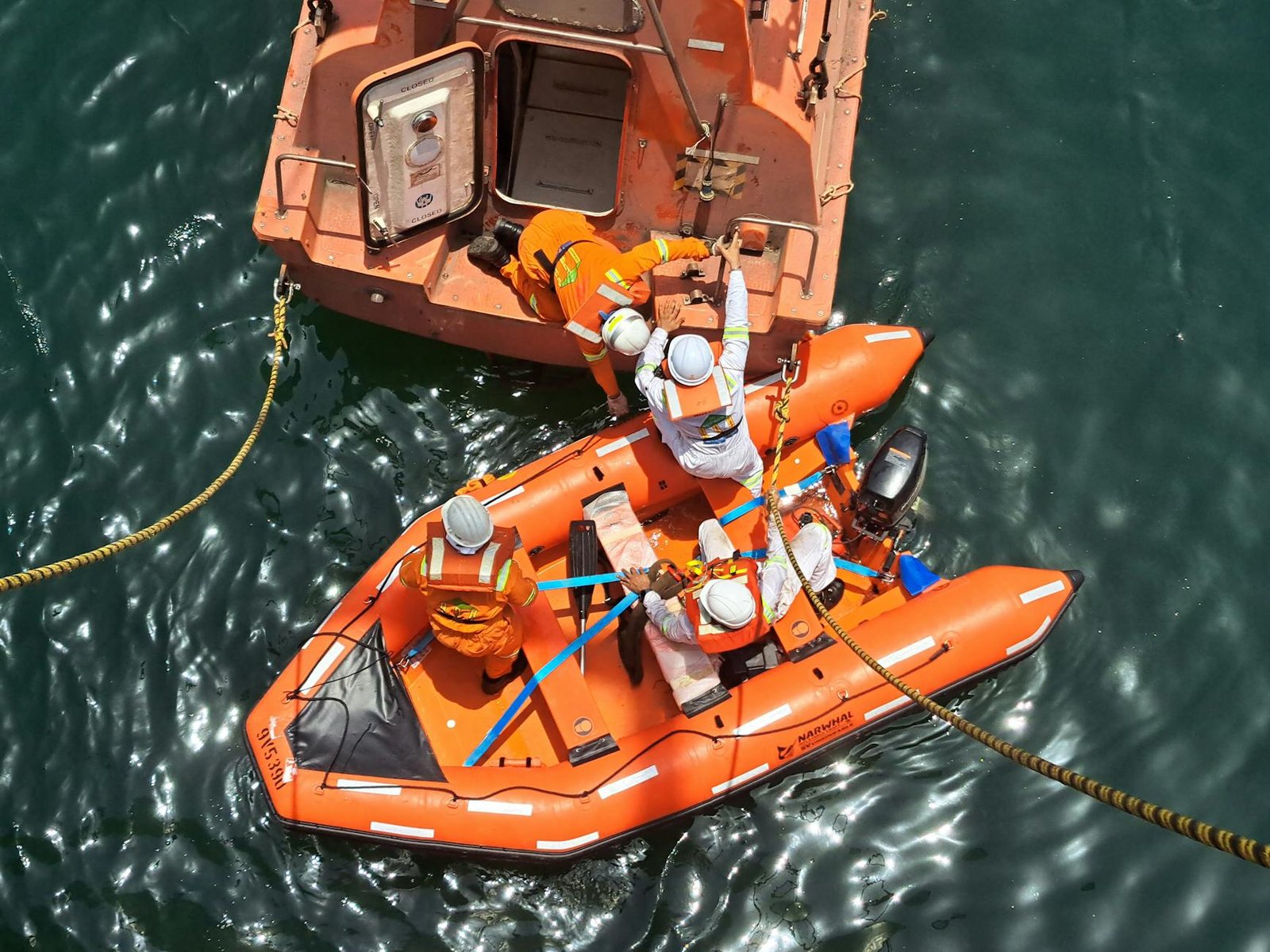Rescuers Try to Save Timmy, a Whale Stranded Off Germany Rescuers Try to Save Timmy, a Whale Stranded Off Germany