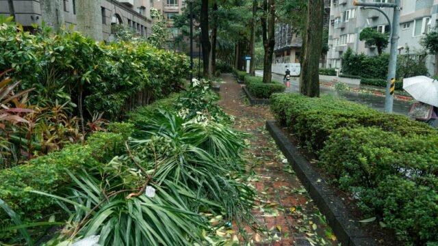 Super Typhoon Sinlaku Slams Saipan, Causing Widespread Damage