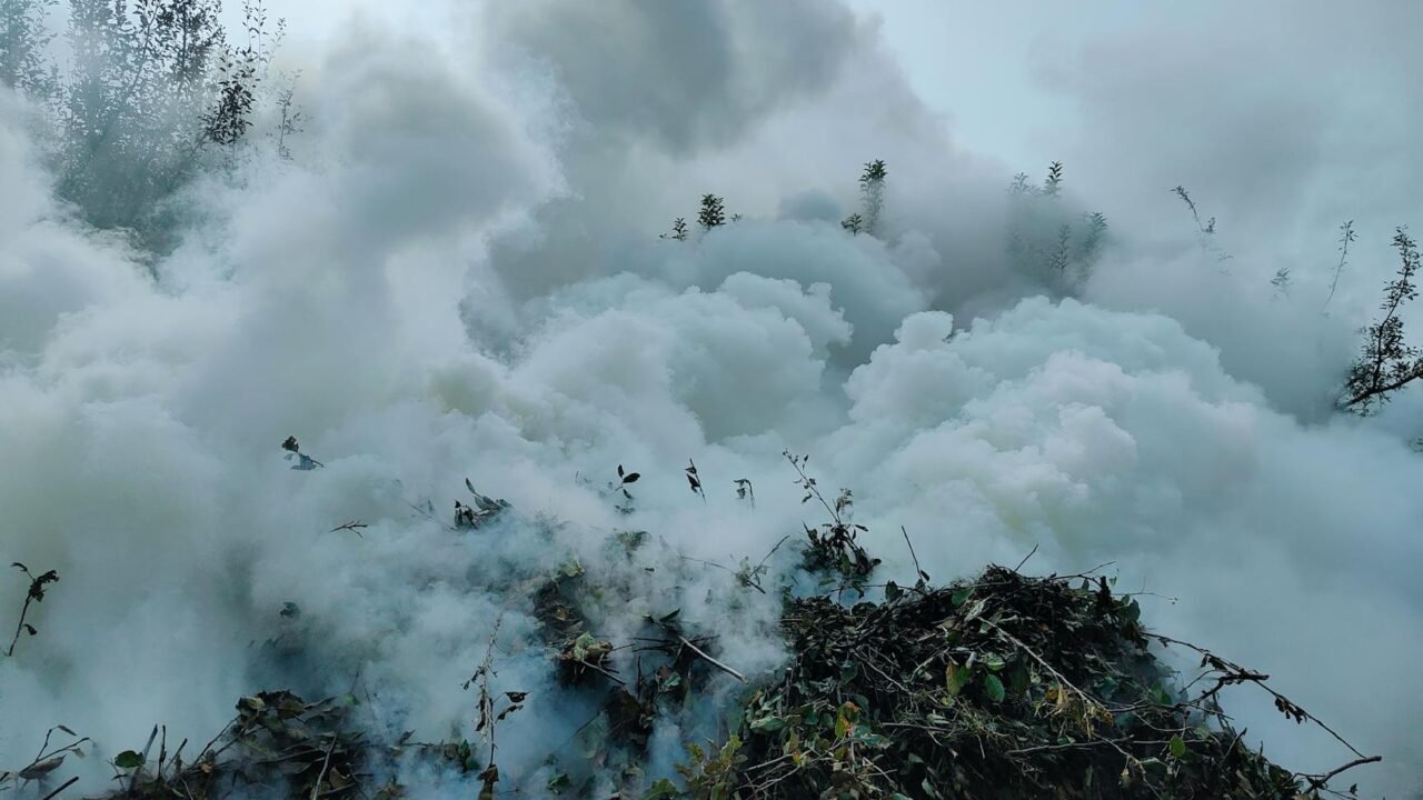 Uttar Pradesh man dies in steamer blast in J-K’s Shopian    