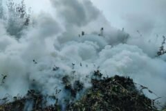 Uttar Pradesh man dies in steamer blast in J-K’s Shopian    