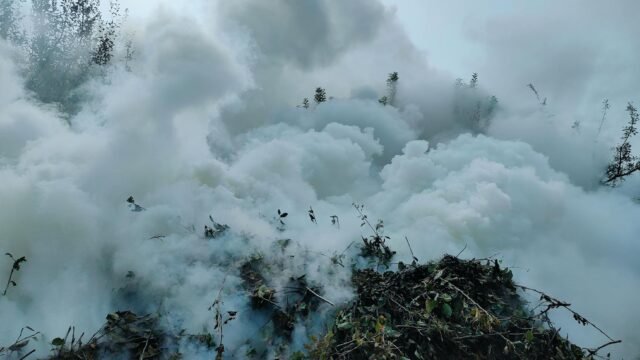 Uttar Pradesh man dies in steamer blast in J-K’s Shopian    