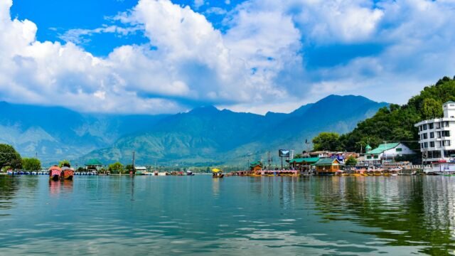 Wular Lake conservation restores 5 sq km area, 1.31 lakh trees removed in J&K