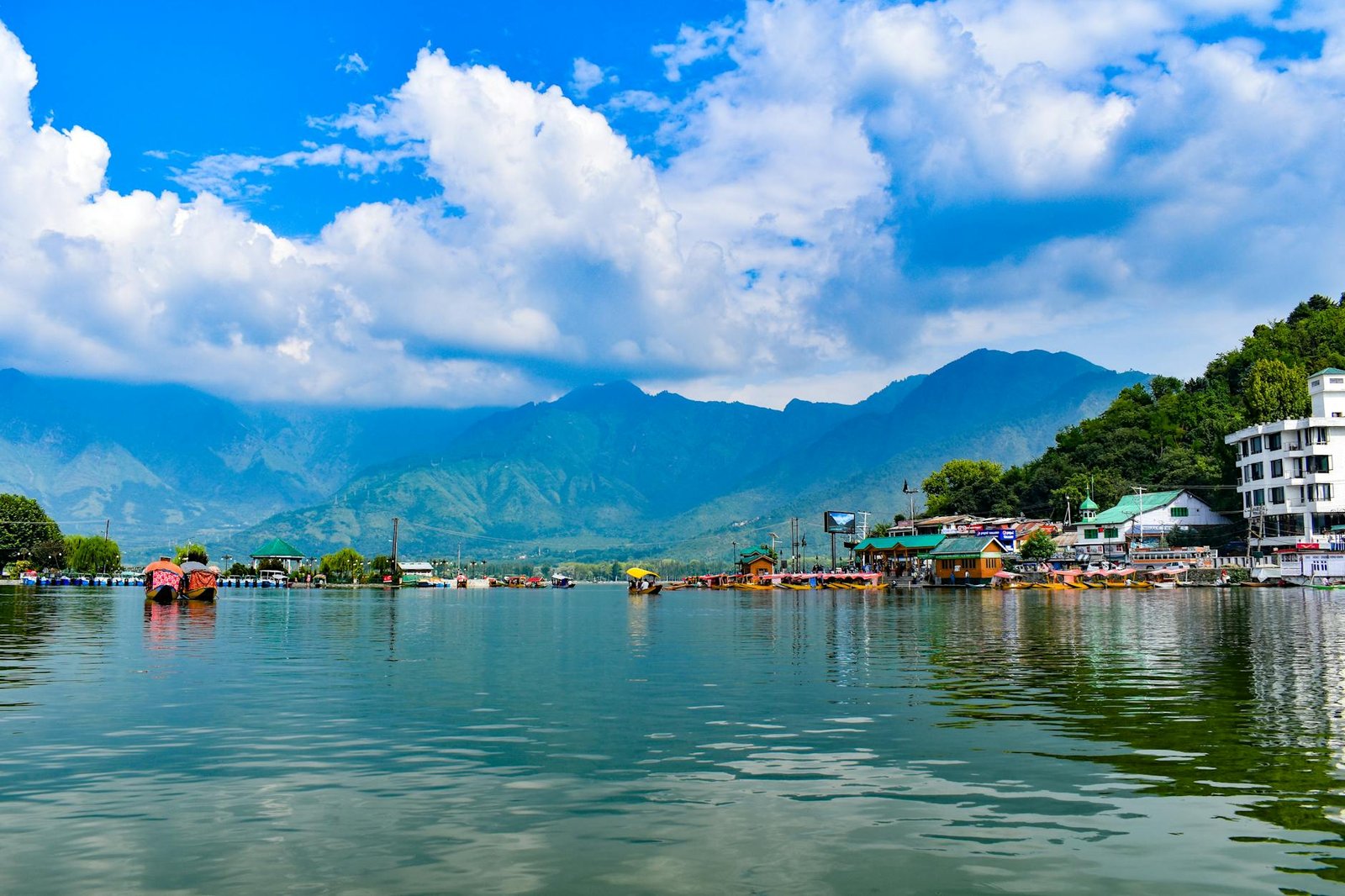 Wular Lake conservation restores 5 sq km area, 1.31 lakh trees removed in J&K