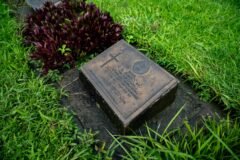 Year after Pahalgam attack, Lieutenant Vinay Narwal’s family vows to carry forward his legacy