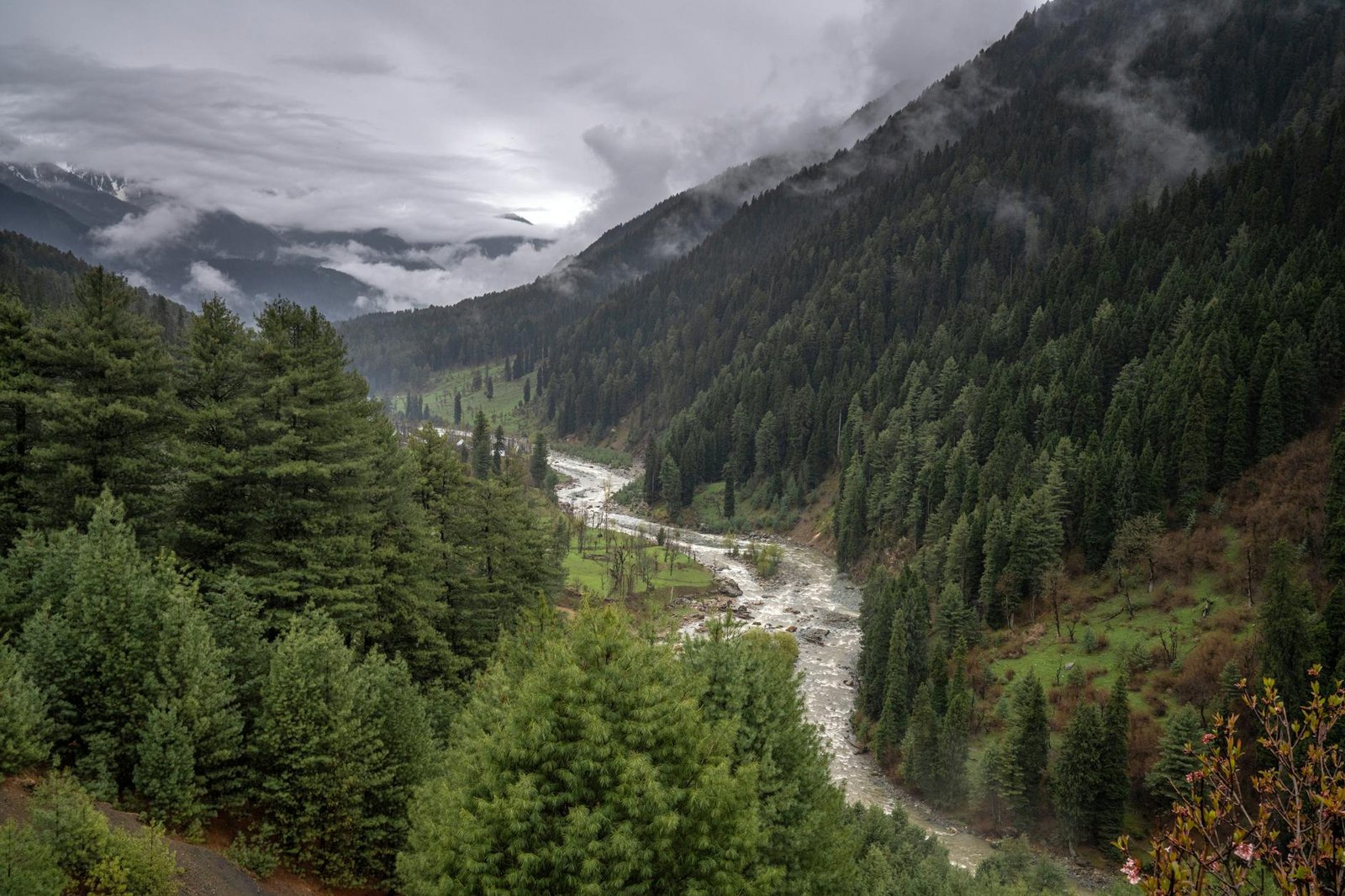Year after Pahalgam, no action against cops Year after Pahalgam, no action against cops