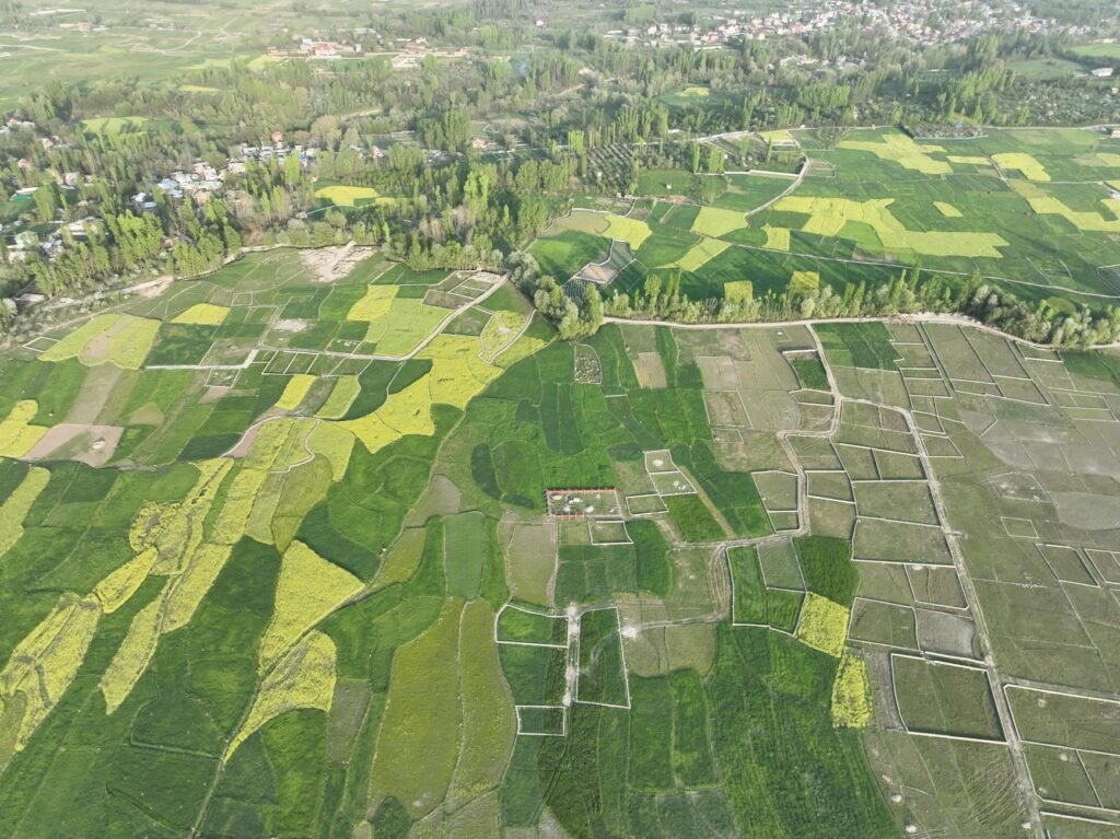 14 Lakh Kanals Of State Land Encroached In Jammu, 3 Lakh In Kashmir: Official Data