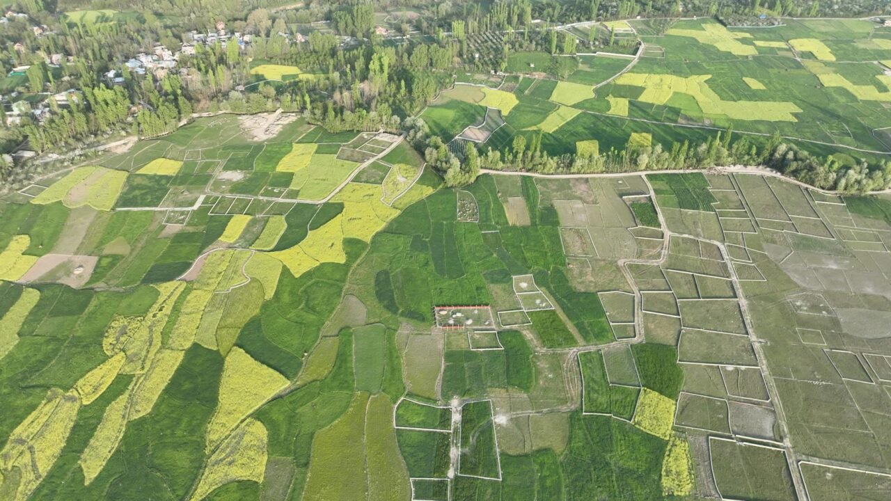 Massive State Land Encroachment Unearthed in Jammu and Kashmir Regions