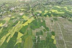 14 Lakh Kanals Of State Land Encroached In Jammu, 3 Lakh In Kashmir: Official Data