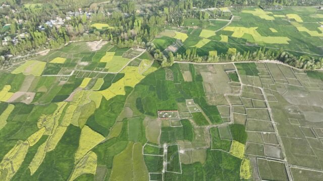 14 Lakh Kanals Of State Land Encroached In Jammu, 3 Lakh In Kashmir: Official Data