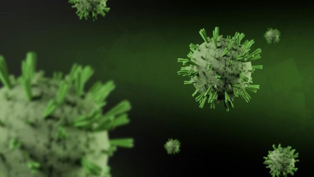 16 More People in the U.S. Are Being Monitored for Hantavirus, C.D.C. Says