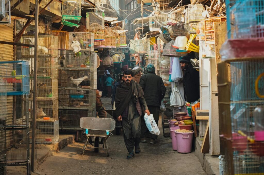 Afghanistan explores a new commercial route via Central Asia