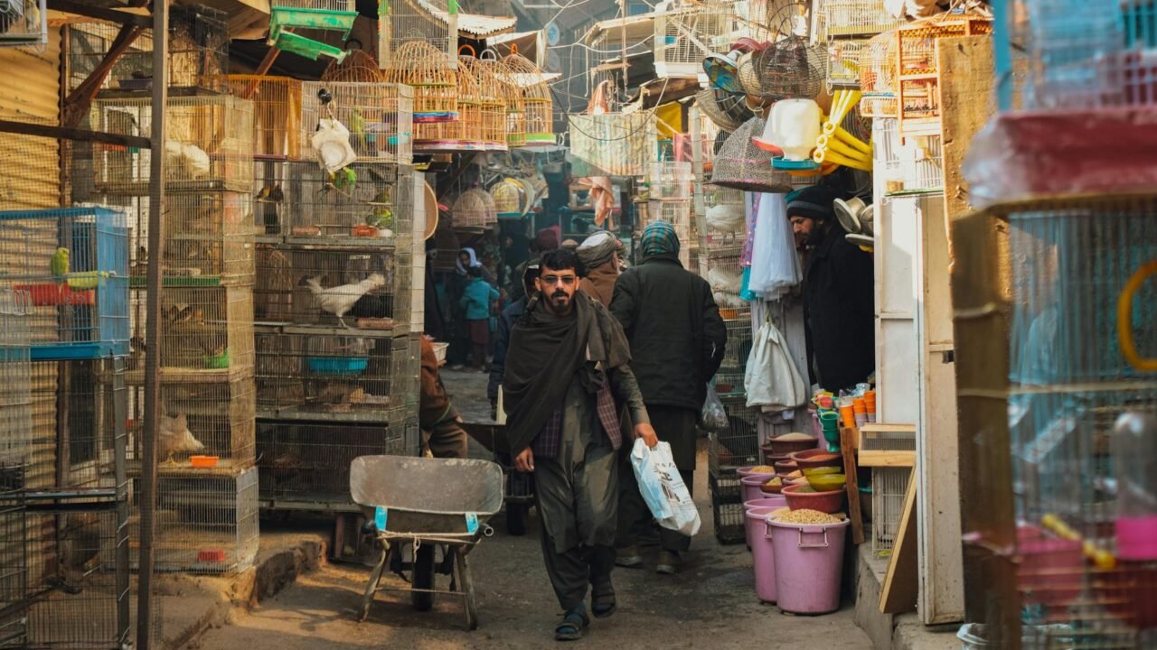 Afghanistan Seeks Trade Alternatives Through Central Asia Amid Gulf Tensions