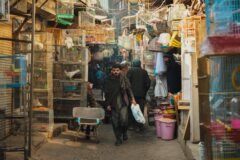 Afghanistan explores a new commercial route via Central Asia