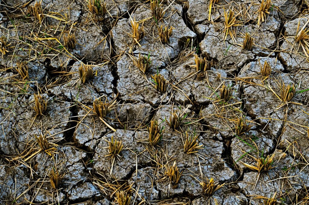Agriculture under Middle East Conflict Why India’s farms are feeling the heat?