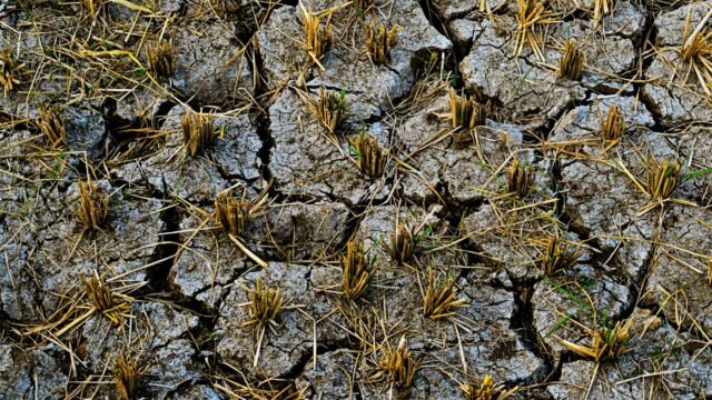 Agriculture under Middle East Conflict Why India’s farms are feeling the heat?