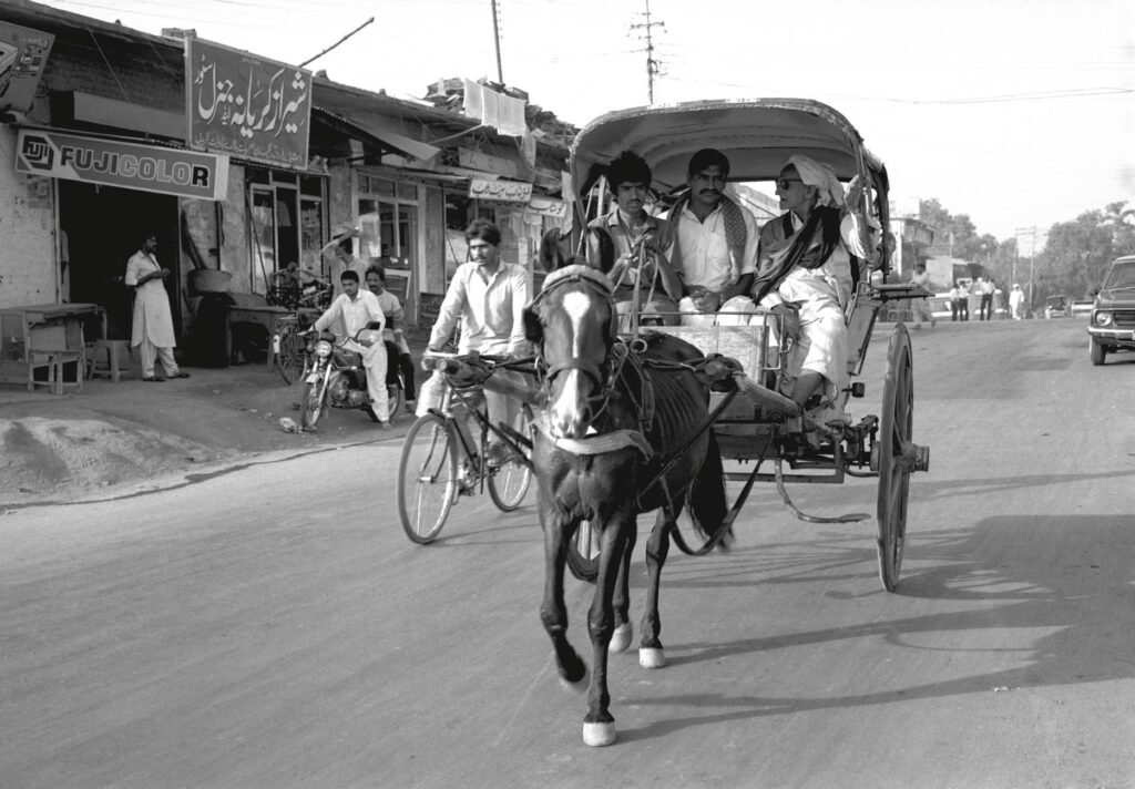 Amid PM Modi’s ‘save fuel’ appeal, nostalgic comeback for tongas in Jammu