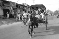 Amid PM Modi’s ‘save fuel’ appeal, nostalgic comeback for tongas in Jammu