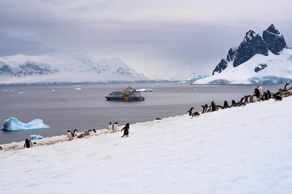 Before Hantavirus Outbreak, the MV Hondius Attracted ‘a Different Type of Traveler’
