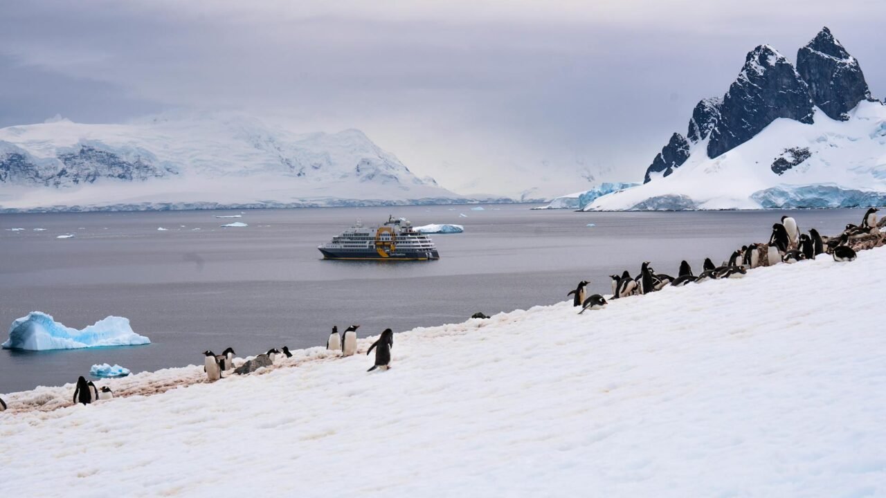 MV Hondius Passengers Recall Wildlife Focus Amidst Health Scare