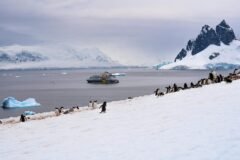 Before Hantavirus Outbreak, the MV Hondius Attracted ‘a Different Type of Traveler’