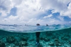 Bodies of Last 2 Missing Italian Divers Recovered in the Maldives